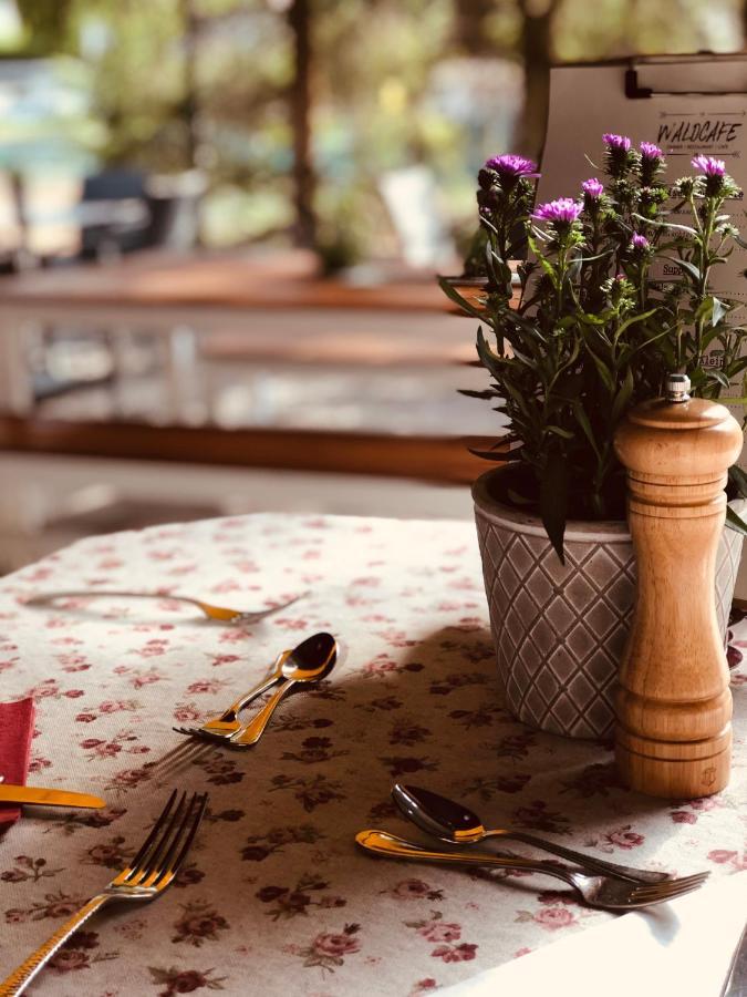 Gasthof Restaurant Waldcafe Mayrhofen Bagian luar foto